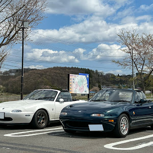 ロードスター NA8C