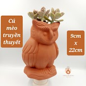 Chậu Đất Nung, Chậu Sen Đá - Cú Mèo Truyền Thuyết 922, Miệng Chậu 9Cm, Chiều Cao 22Cm