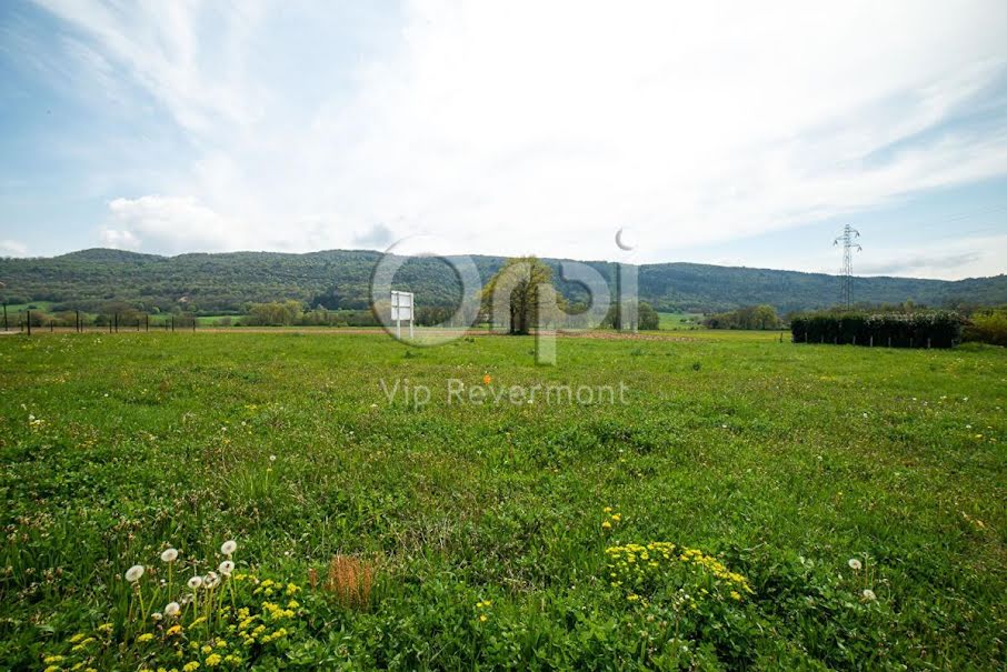 Vente terrain  984 m² à Simandre-sur-Suran (01250), 73 000 €