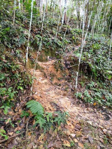 Bukit Kutu via Ampang Pecah shortcut