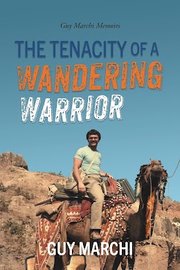 The Tenacity of a Wandering Warrior cover