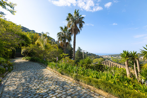House with terrace 4