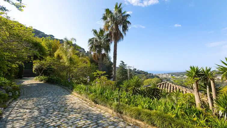 House with terrace - photo 4