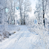Snowfall HD Live Wallpaper Pro1.0.4
