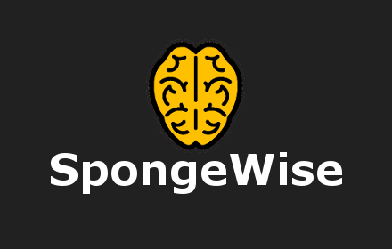 SpongeWise Flashcard Clipper small promo image