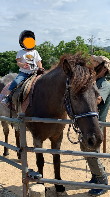 Nボックスカスタムの山口サファリランド・スパシャン・2日続けて洗車・洗車に関するカスタム事例の投稿画像2枚目