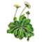 Item logo image for Plantbook