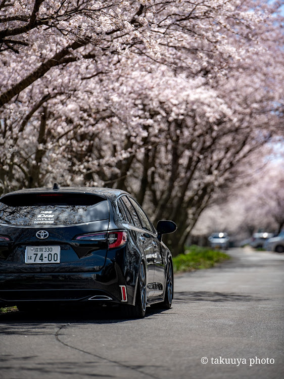 カローラツーリングのいつもイイネ&コメントありがとうございます🙇‍♂️・桜とコラボ・サクラと愛車・桜・目指せPickUpCarsに関するカスタム事例の投稿画像11枚目