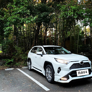 RAV4 MXAA54