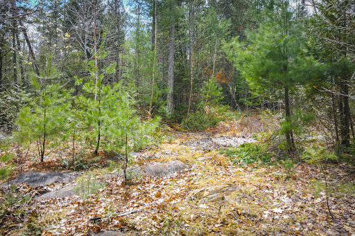 Land 4