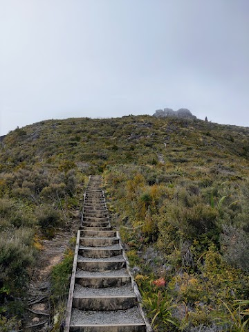 Pinnacles Summit Coromandel