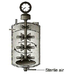 Bioreactor