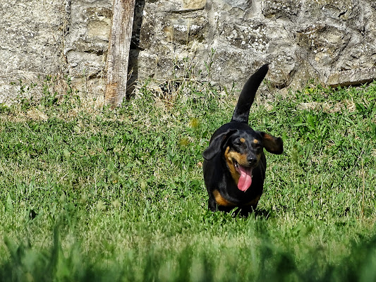 Scatto di Gioia di DanieleGiudici89