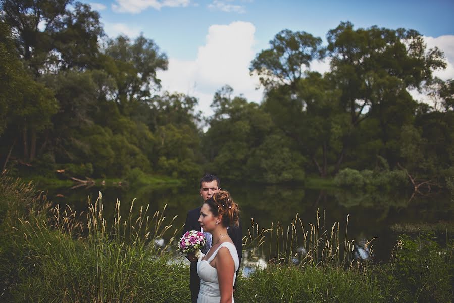 Wedding photographer Pavel Leksin (biolex). Photo of 27 July 2013