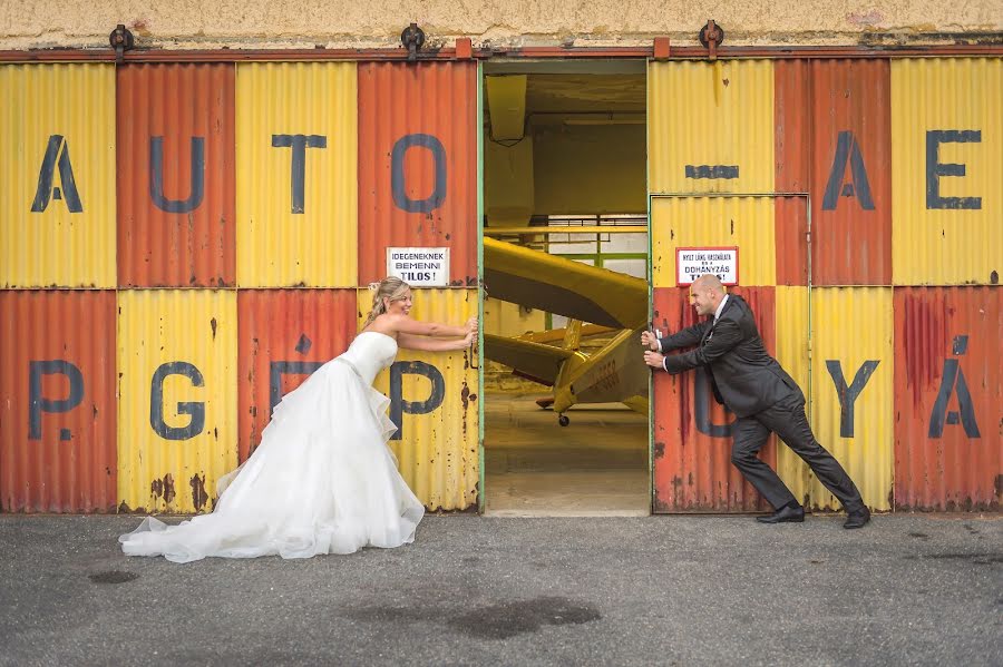 Wedding photographer Hajdú László (fotohajdu). Photo of 9 January 2017