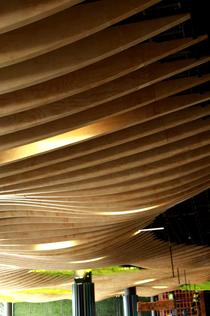 Pantry entrance ceiling.