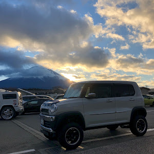ハスラー MR41S