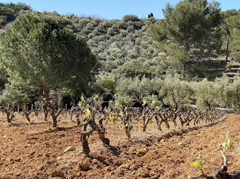 terrain à Bandol (83)