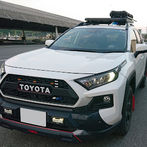 RAV4 MXAA54