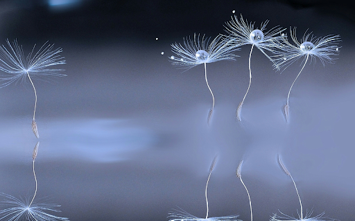Macro screenshot 2