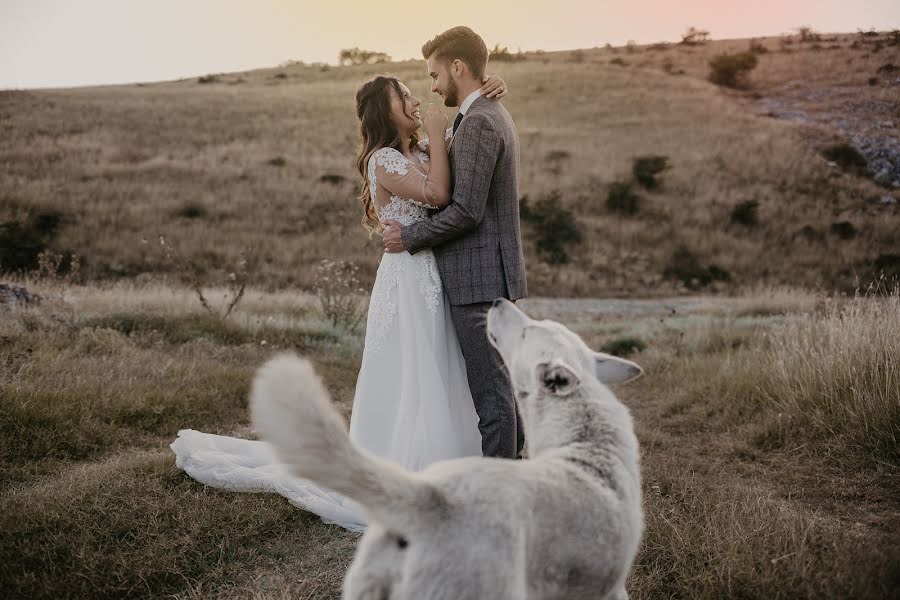 Hochzeitsfotograf Tavi Colu (tavicolu). Foto vom 17. August 2021