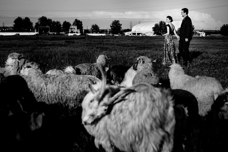 Photographe de mariage Andrei Staicu (andreistaicu). Photo du 3 mai 2019