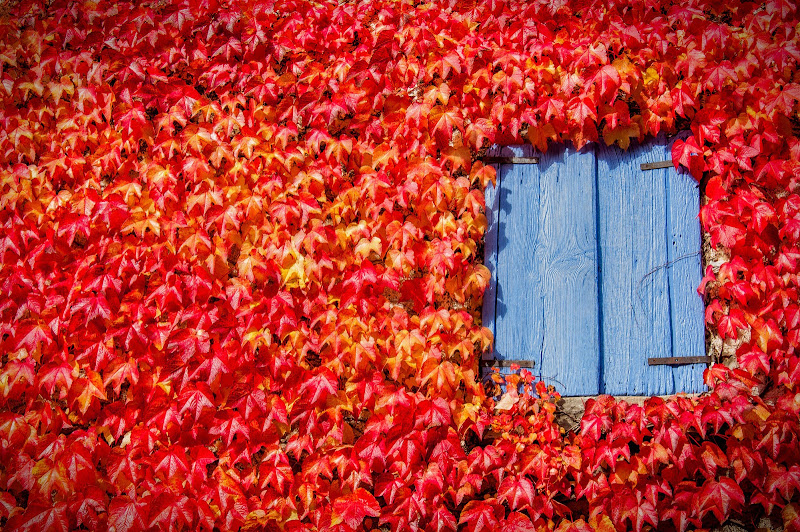 .the blue window  di Concetta Caracciolo