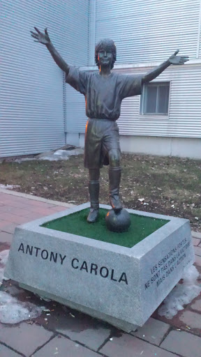 Antony Carola 