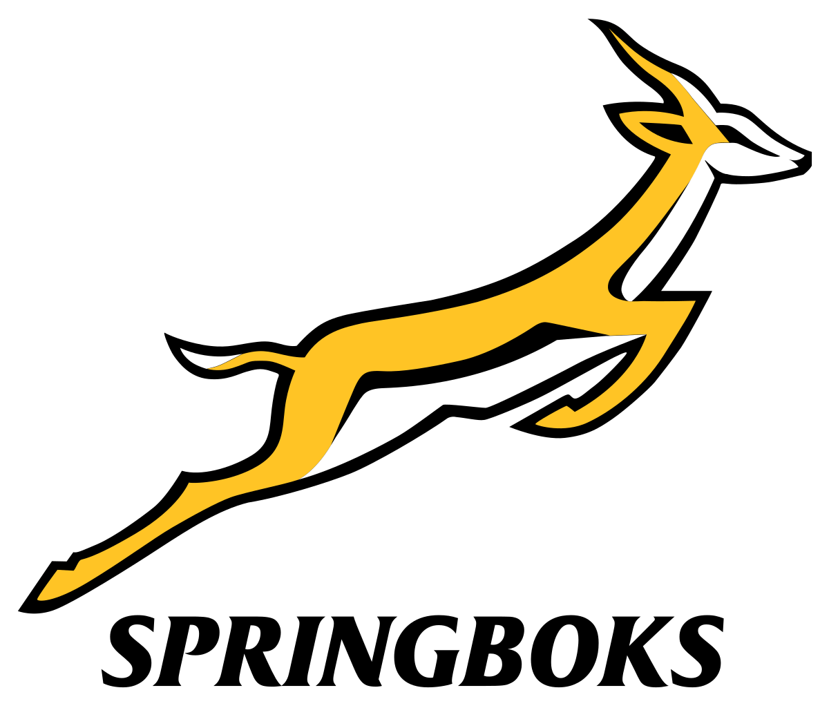 Image result for emblems of rugby world cup Springboks