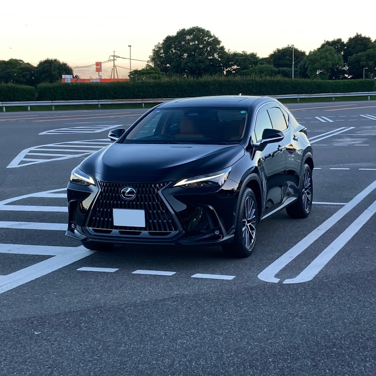 NXのドライブに関するカスタム事例の投稿画像1枚目