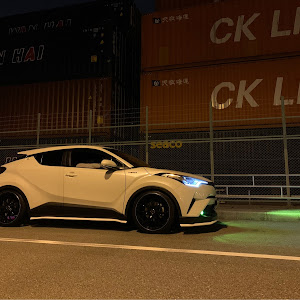 C-HR ZYX10