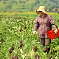 DONNE CHE LAVORANO di 