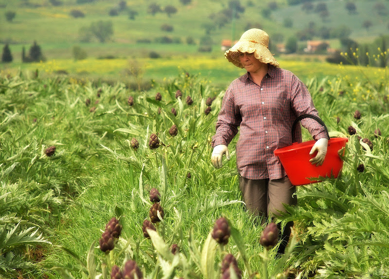 DONNE CHE LAVORANO di Luciano Fontebasso