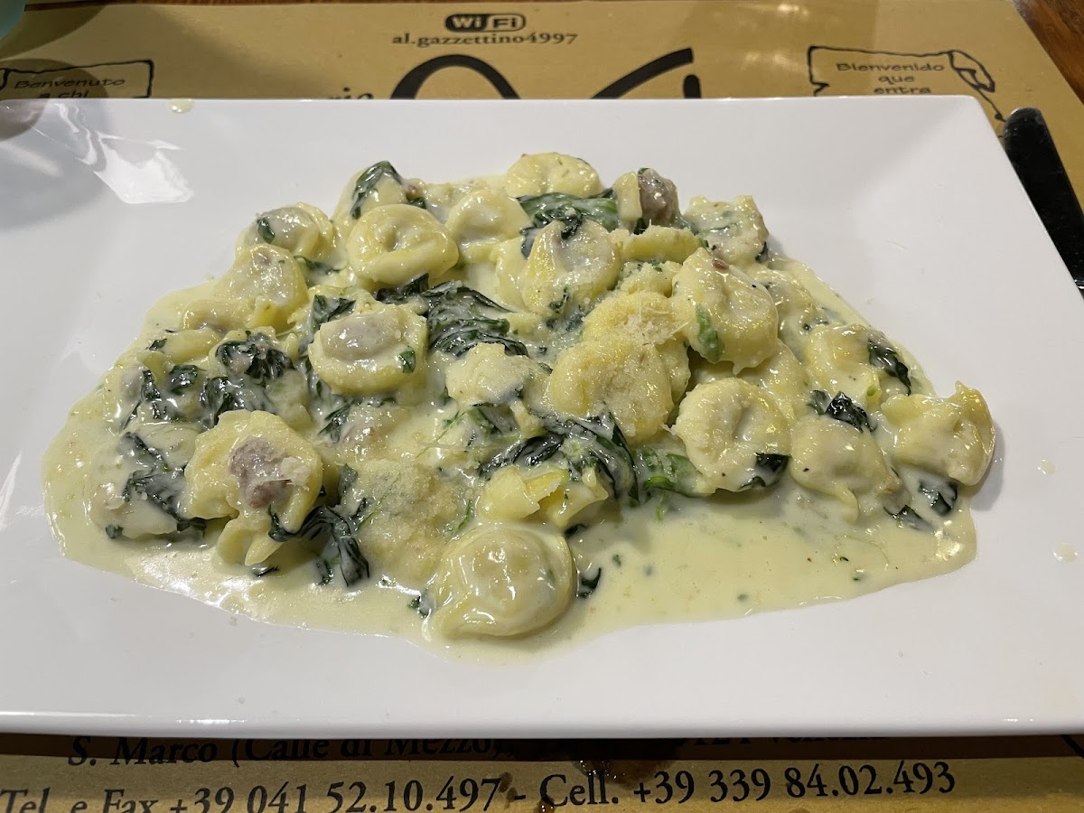 Tortellini with ricotta and spinach