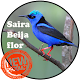 Download Canto Saira Beija Flor For PC Windows and Mac 1.0