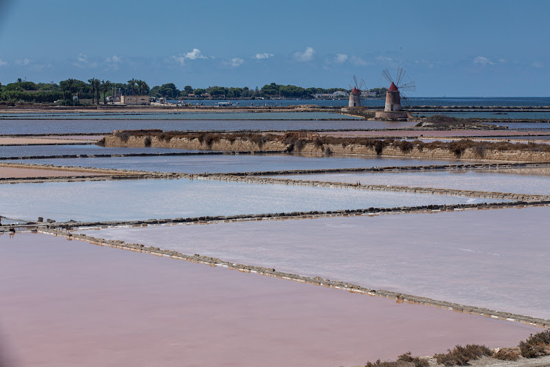 la piana della salina di marsala di gattoparty5