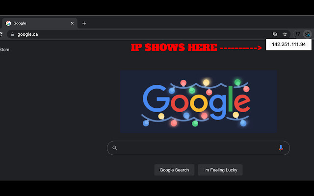 Website IP chrome extension