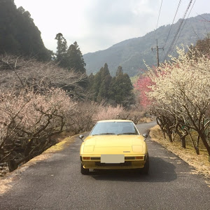 サバンナRX-7