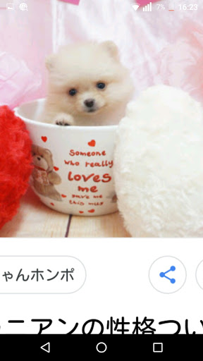 💟ねお💟