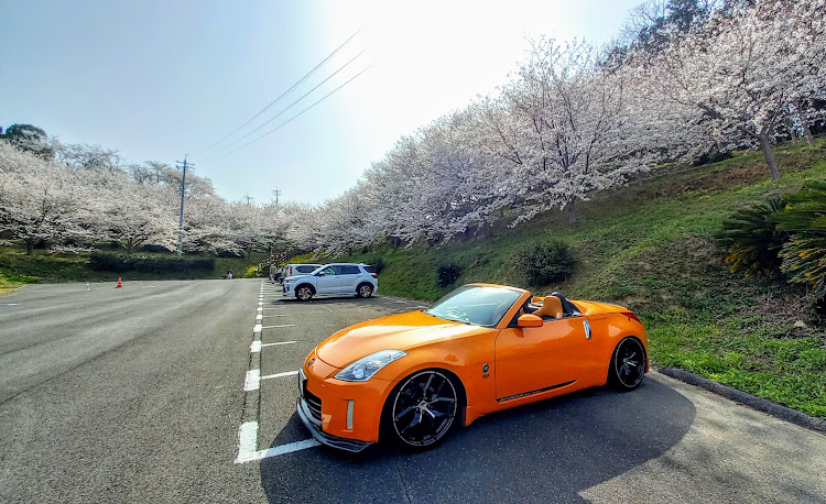 フェアレディZ ロードスターの桜とコラボ・伯方島の開山にドライブに関するカスタム事例の投稿画像5枚目