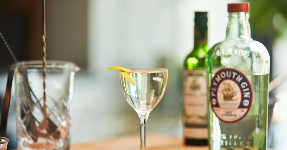 Best Gin and Tonic – A Couple Cooks