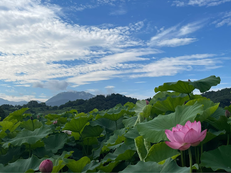 の投稿画像3枚目