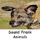 Download Sound Prank: Animals For PC Windows and Mac 1.0.1