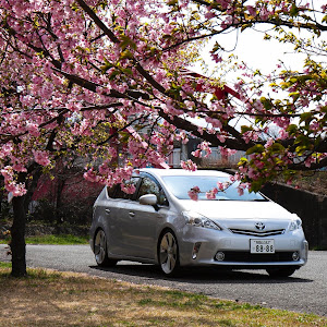 プリウスα ZVW40W