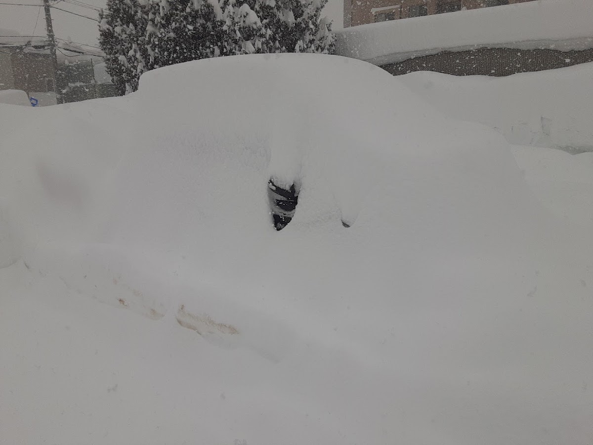 Qnc25の北海道 札幌 大雪 雪かき疲れた 道ガタガタに関するカスタム メンテナンスの投稿画像 車のカスタム情報はcartune