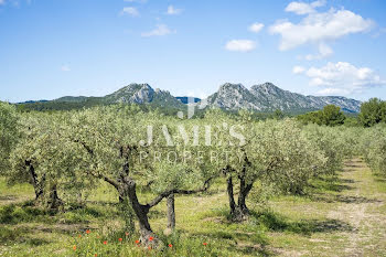 terrain à Fontvieille (13)