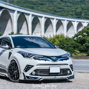 C-HR ZYX10