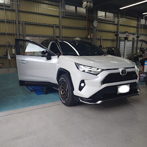 RAV4 AXAP54