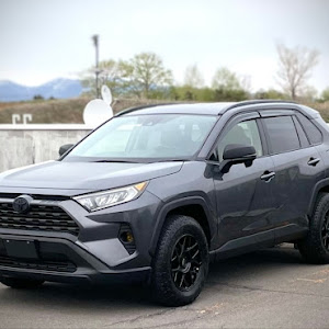 RAV4 MXAA54