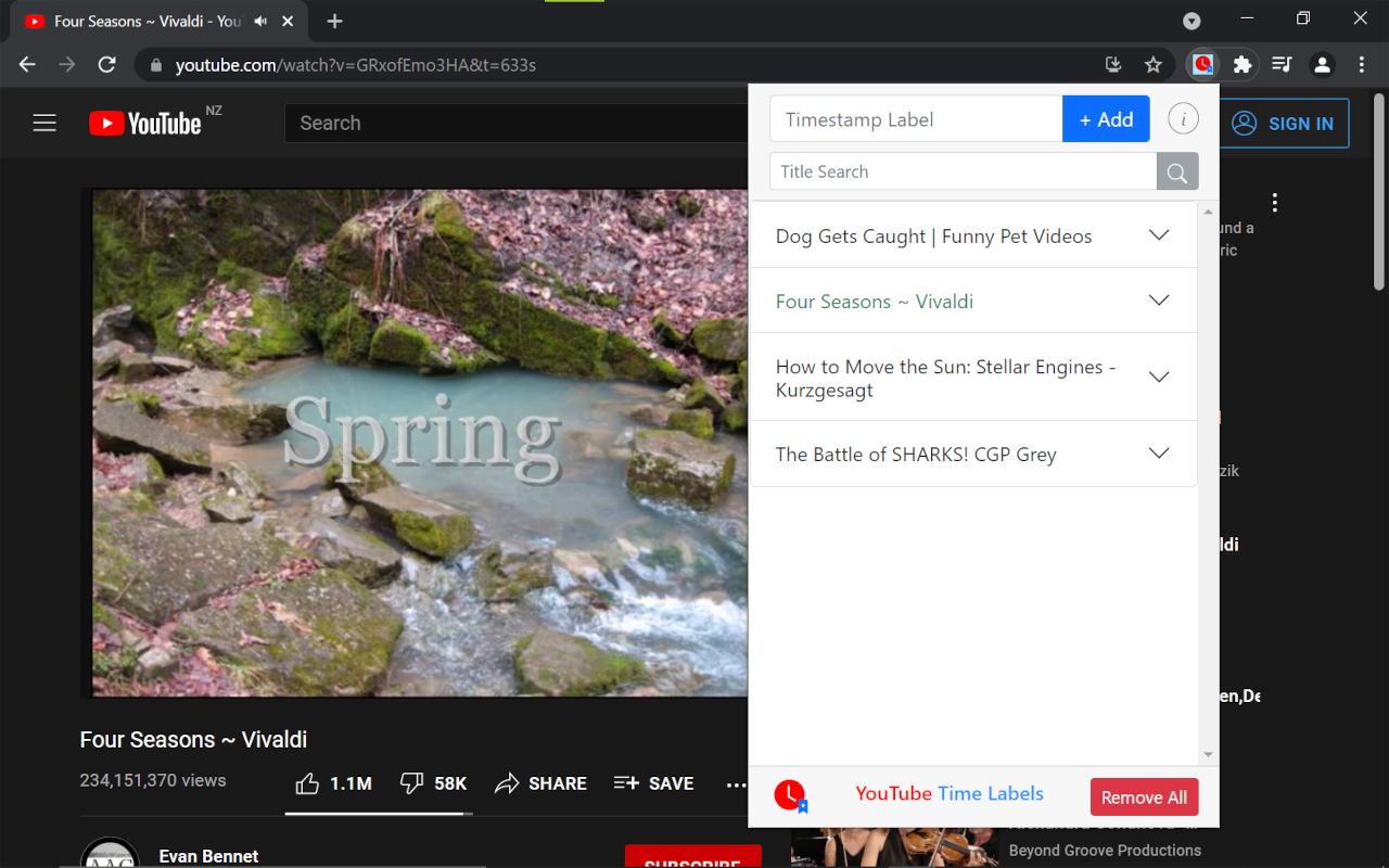 YouTube Time Labels Preview image 0